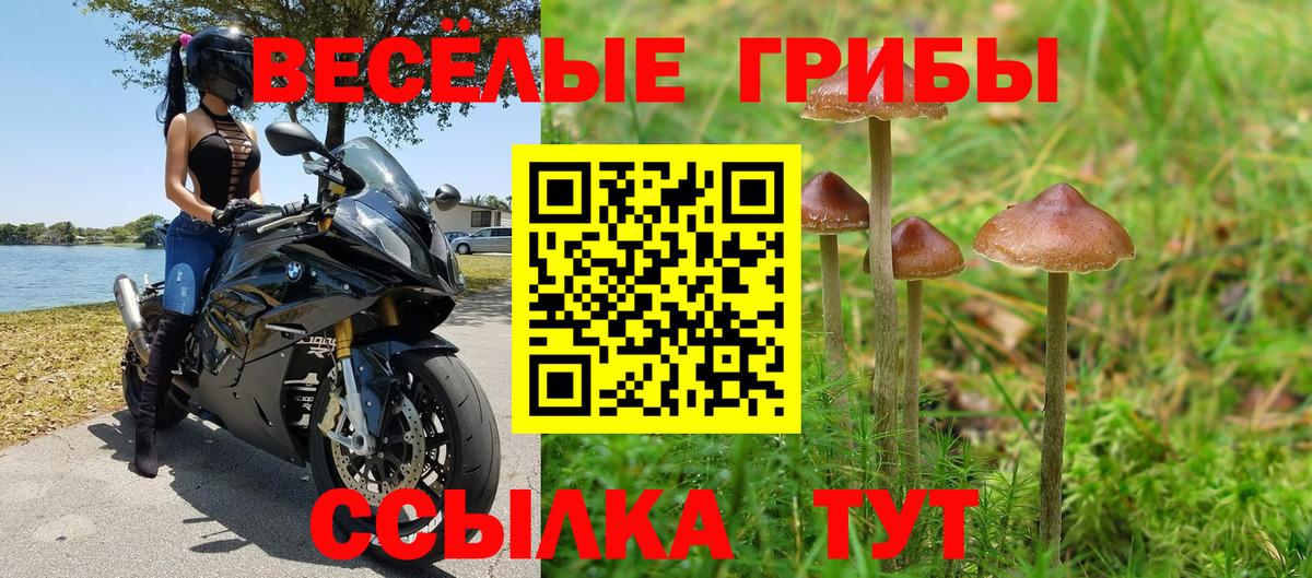 наркотики  Галлюциногенные грибы мицелий  Выборг  Вход с VPN  Галлюциногенные грибы GOLDEN TEACHER 